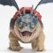 Set de joaca, DreamWorks Dragons, Gronckle si Fishlegs, 20151276