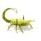 Scorpion interactiv, Hexbots, Verde, 20149646