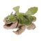 Mini figurina dragon, DreamWorks Dragons, Gronckle, 20154222