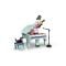 LEGO® Creator - Pian decorativ cu o pisica (31392)
