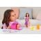 Set de joaca cu papusa, Barbie, Pup Adoption, HKD86