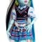 Papusa Monster High Frankie Stein cu animalut si accesorii, HHK53