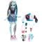 Papusa Monster High Frankie Stein cu animalut si accesorii, HHK53