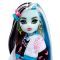 Papusa Monster High Frankie Stein cu animalut si accesorii, HHK53