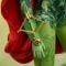 Papusa Barbie Signature, Batman 85Th Anniversary, Poison Ivy, HRM51
