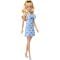 Papusa cu funda albastra, Barbie Fashionista, HYT93
