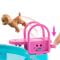 Set de joaca, Barbie, Dream Pool, JFP01