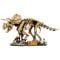 LEGO® Jurassic World - Fosile de Dinozaur: Triceratops (77985)