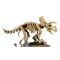 LEGO® Jurassic World - Fosile de Dinozaur: Triceratops (77985)