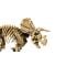 LEGO® Jurassic World - Fosile de Dinozaur: Triceratops (77985)