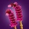 LEGO® Botanicals - Fluturasi (11514)
