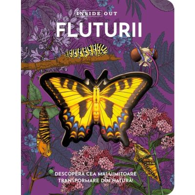 Fluturii, model 3D