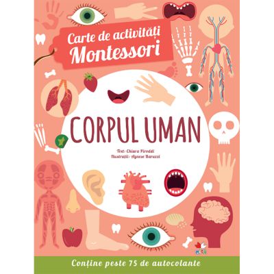 CEDMONT15_001w Carte Editura Litera, Carte de activitati Montessori. Corpul uman