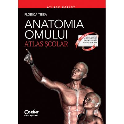 EDU.277_001w Carte Editura Corint, Atlas scolar anatomia omului  - editie revizuita, Florica Tibea