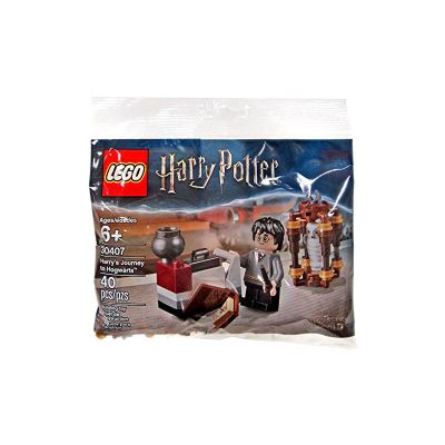LG30407_001w LEGO® Harry Potter™ - Harry's Journey to Hogwarts (30407)