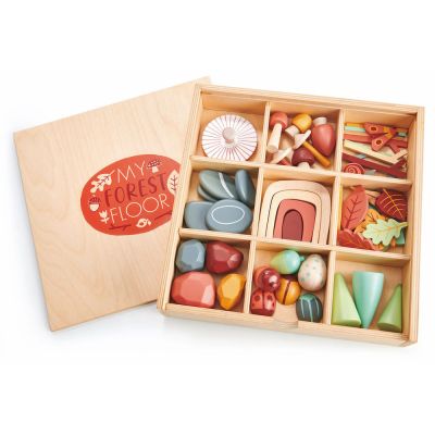 N00008369_001 191856083696 Set, Colectia de comori forestiere din lemn, Tender Leaf Toys, My Forest Floor, 50 piese