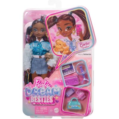 N000HYC22_001w 0194735243297 Papusa cu accesorii, Barbie, Dream Besties, Brooklyn, HYC22