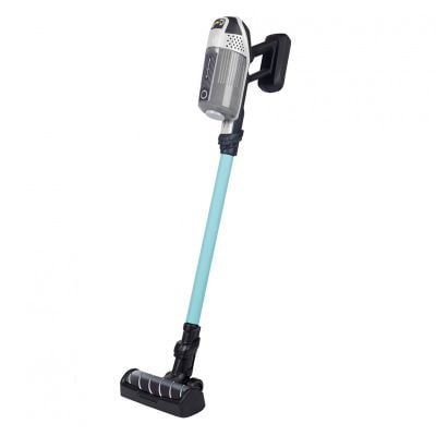 Aspirator vertical, Smoby, Rowenta X Force Flex