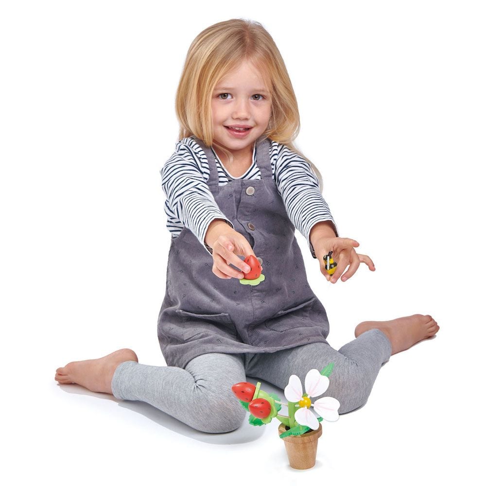 Capsuni in ghiveci, din lemn, Tender Leaf Toys, 13 piese