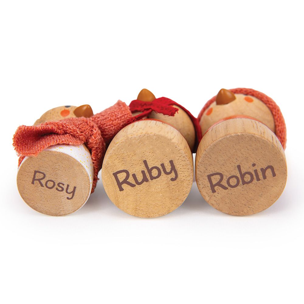 Casuta pentru pasari, din lemn premium, Tender Leaf Toys