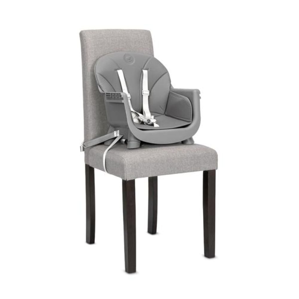 Scaun inalt de masa, Lorelli Vanilla, 3 in 1, de la 6 luni pana la 6 ani (26 kg), Grey