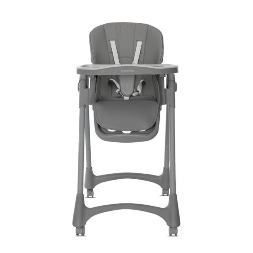 Scaun de masa, Lorelli Tummy Time, reglabil multiple pozitii, roti din silicon, Grey