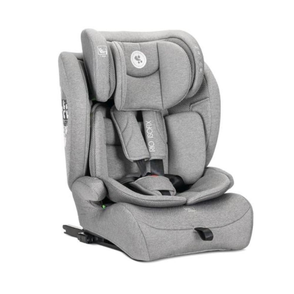 Scaun auto, Lorelli Rio, Isofix cu Top Tether, I-Size, 76-150 cm, Grey