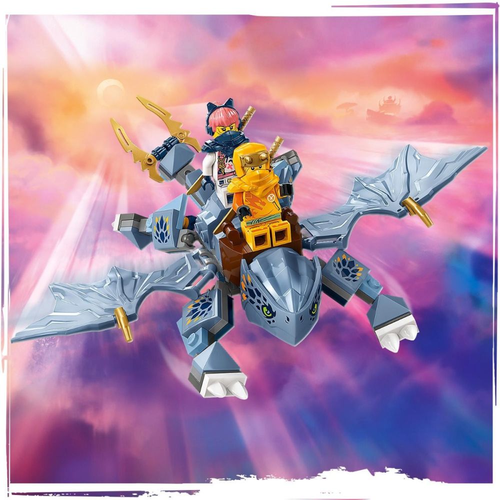 LEGO® Ninjago - Tanarul dragon Riyu (71810)