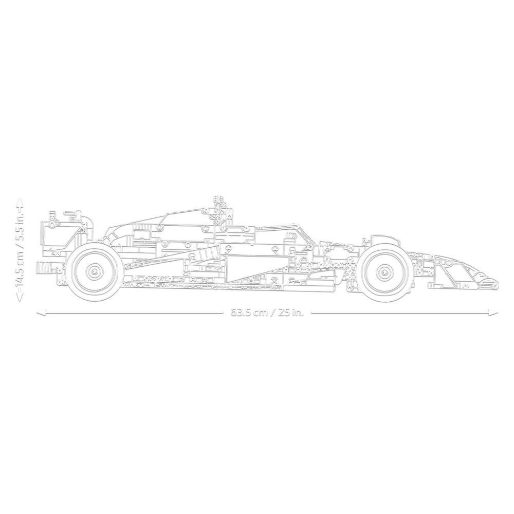 LEGO® Technic - Masina F1 Oracle Red Bull Racing RB20 (42206)