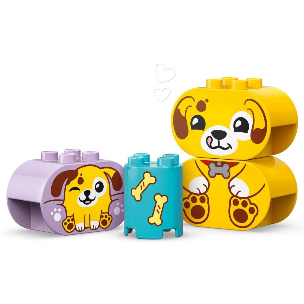 LEGO® DUPLO - Sortator de forme: casa pentru catei (10441)