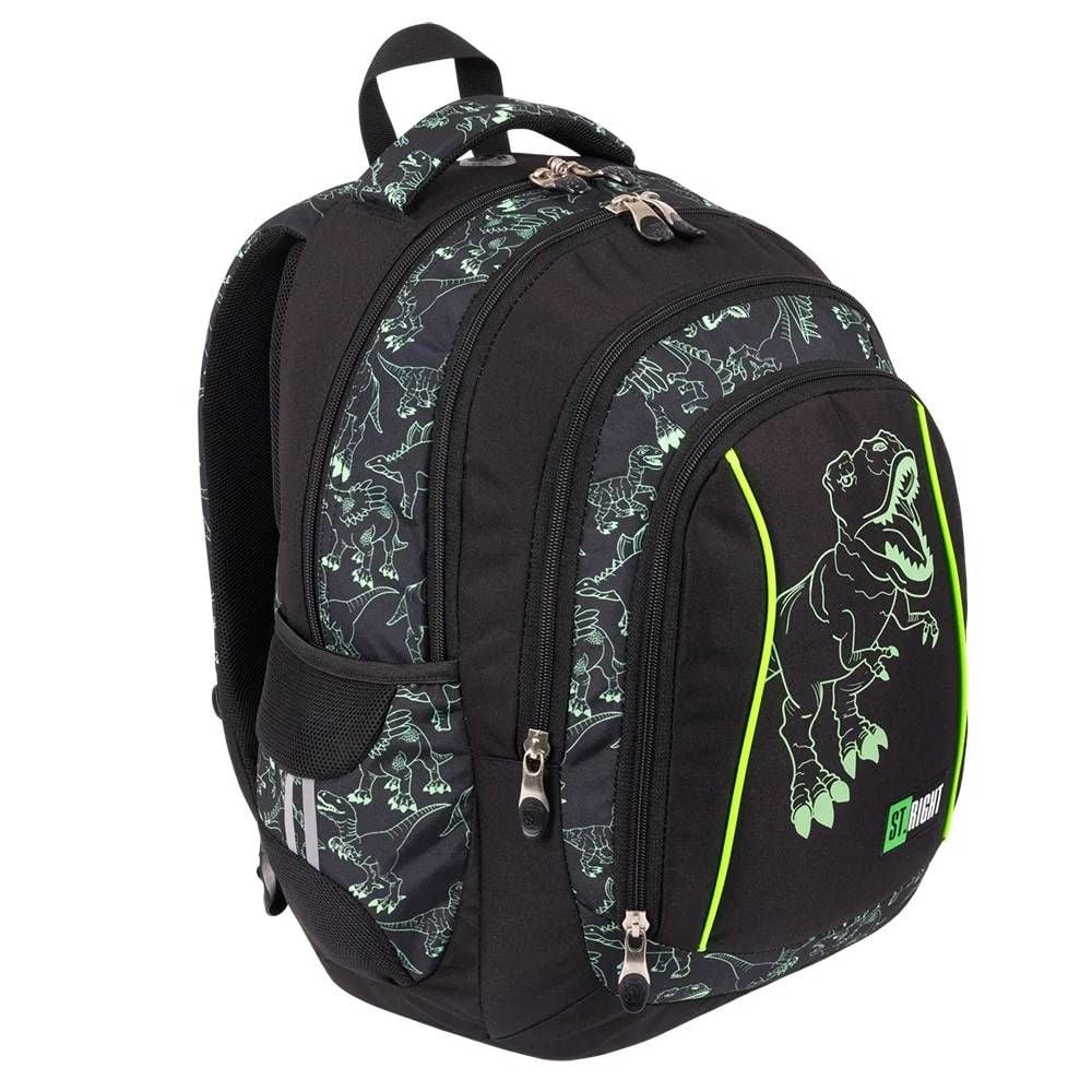 Ghiozdan cu 4 compartimente, St Majewski, St. Right Reflective T-Rex, 43 cm