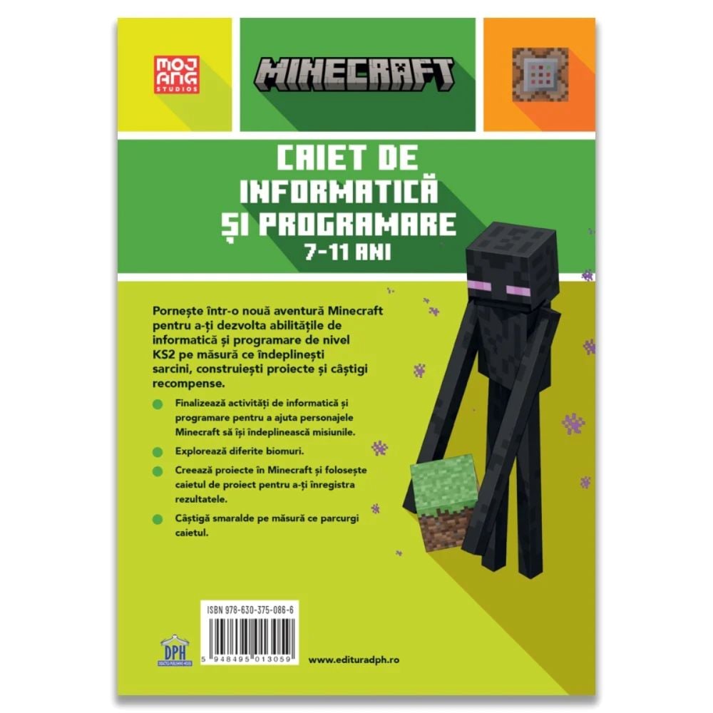 Minecraft, Caiet de informatica si programare, 7-11 ani