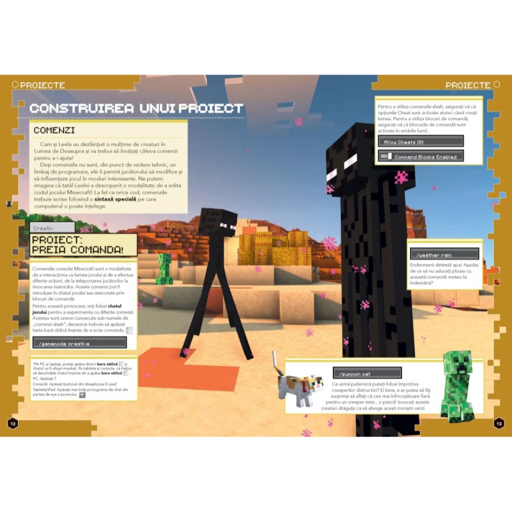 Minecraft, Caiet de informatica si programare, 7-11 ani