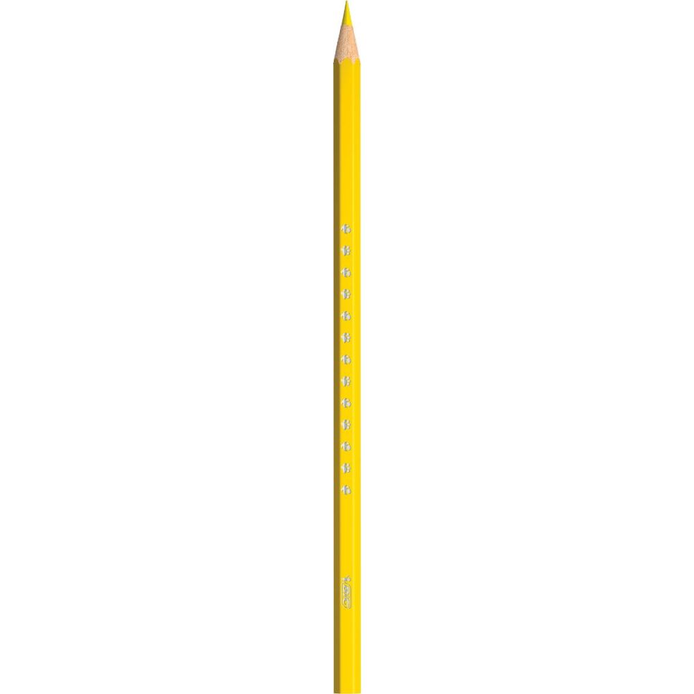 Set 12 creioane colorate, Bic, Evolution Smooth