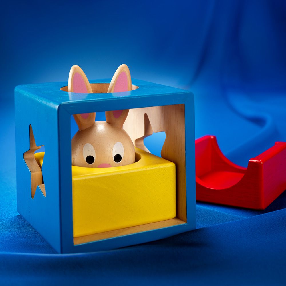 Joc de logica cu 60 de provocari, Smart Games, Bunny Boo