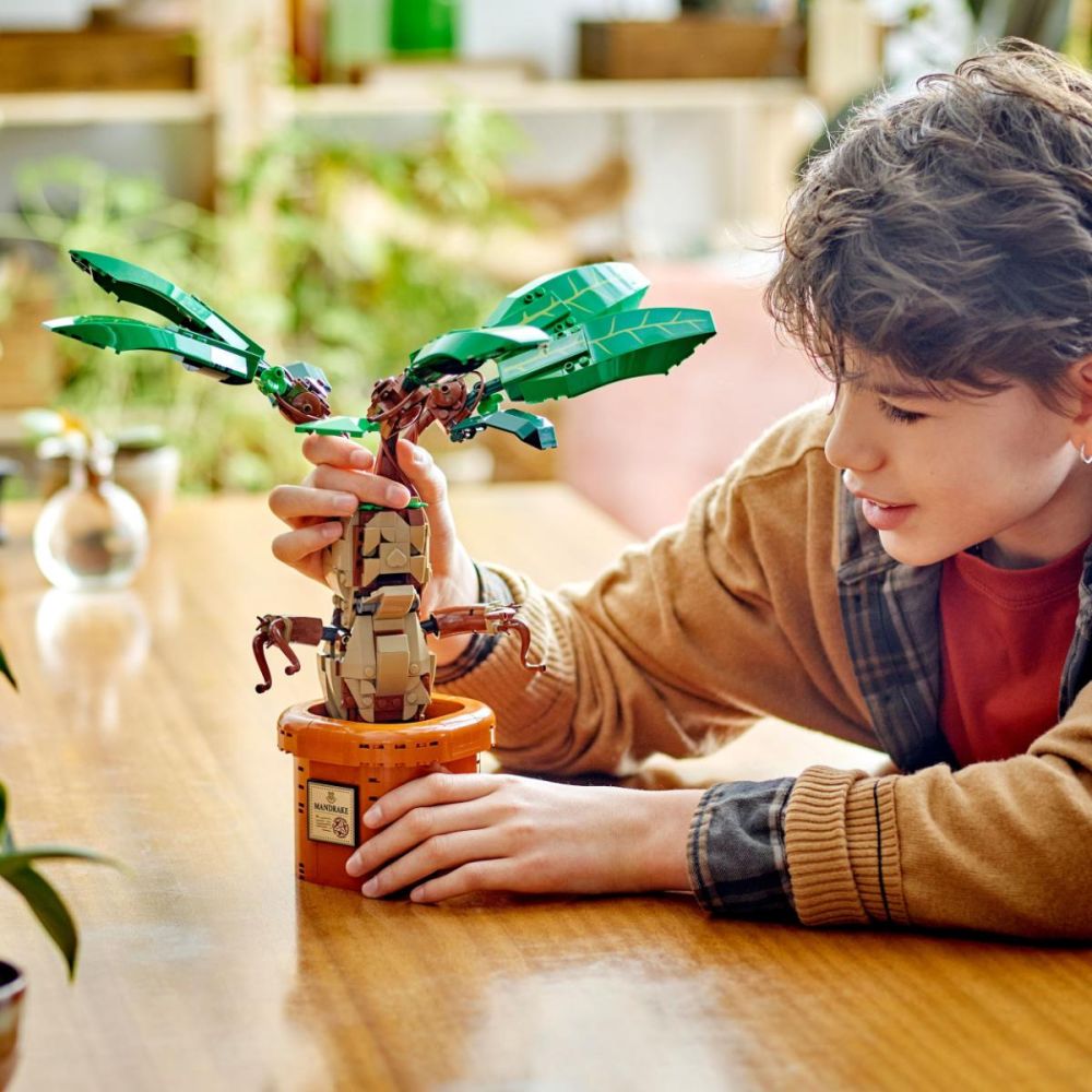 LEGO® Harry Potter - Matraguna (76433)