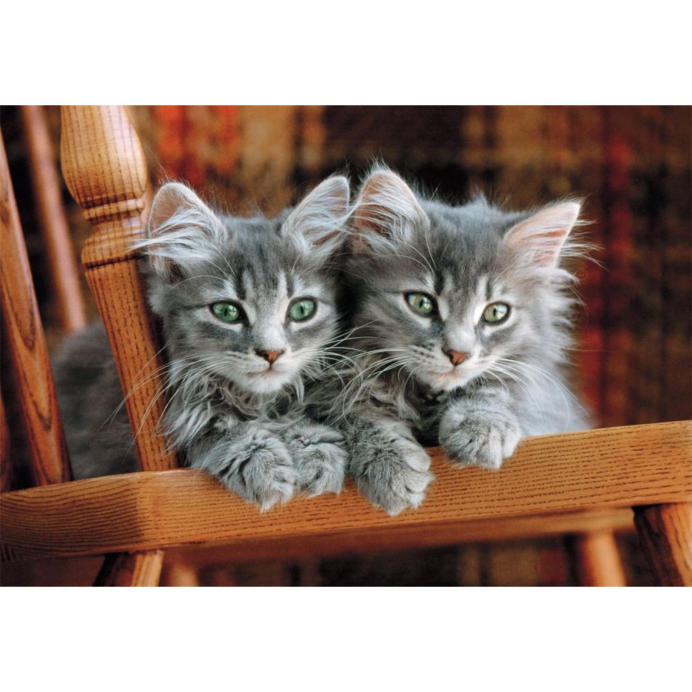 Puzzle Clementoni, Pisiciute, 500 piese