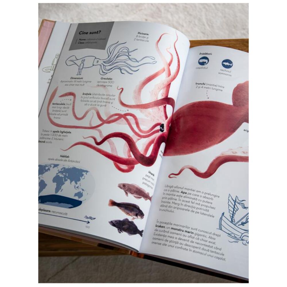 Superanimale 1, Cele mai mari, Reina Ollivier, Karel Claes