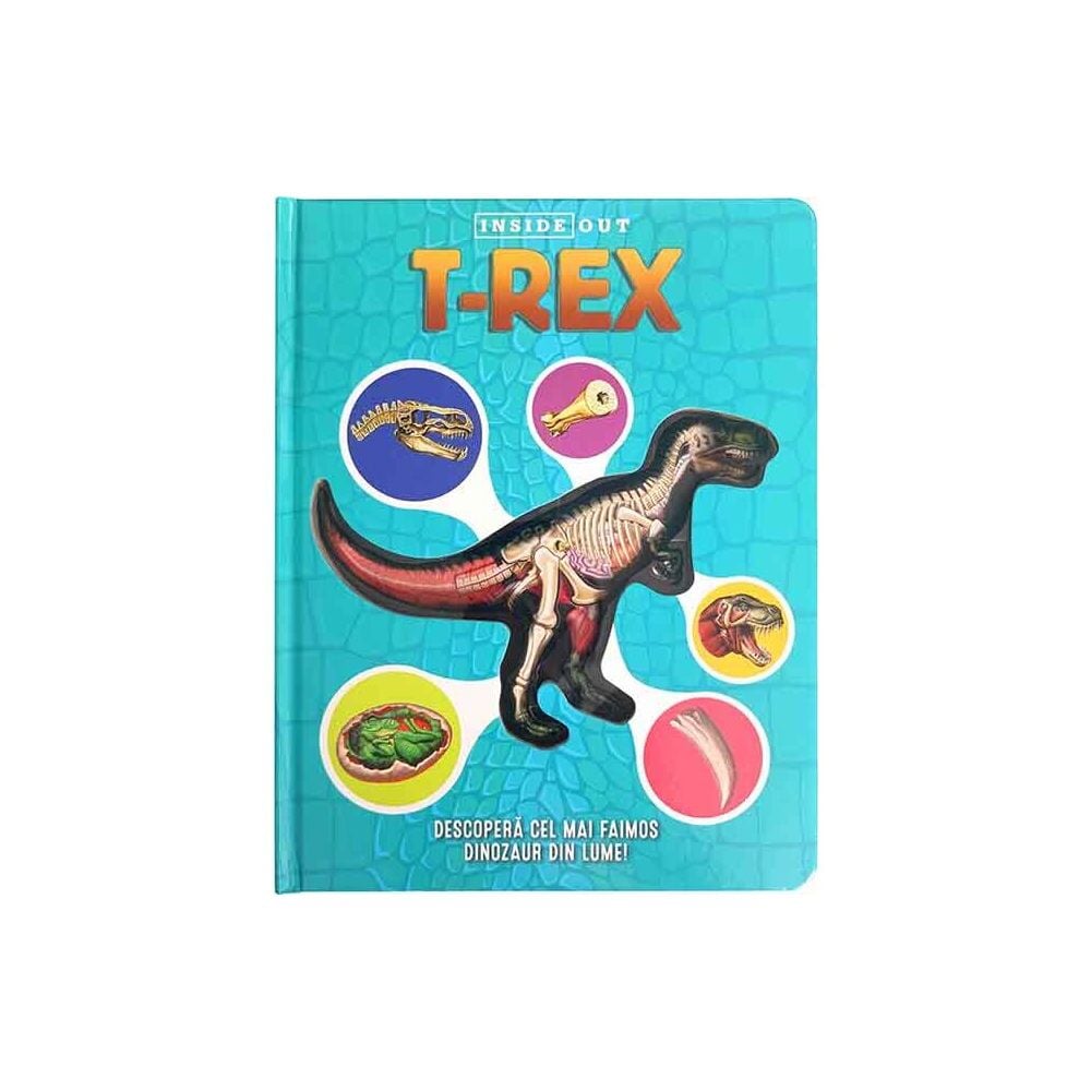 Inside out, T-rex 3D