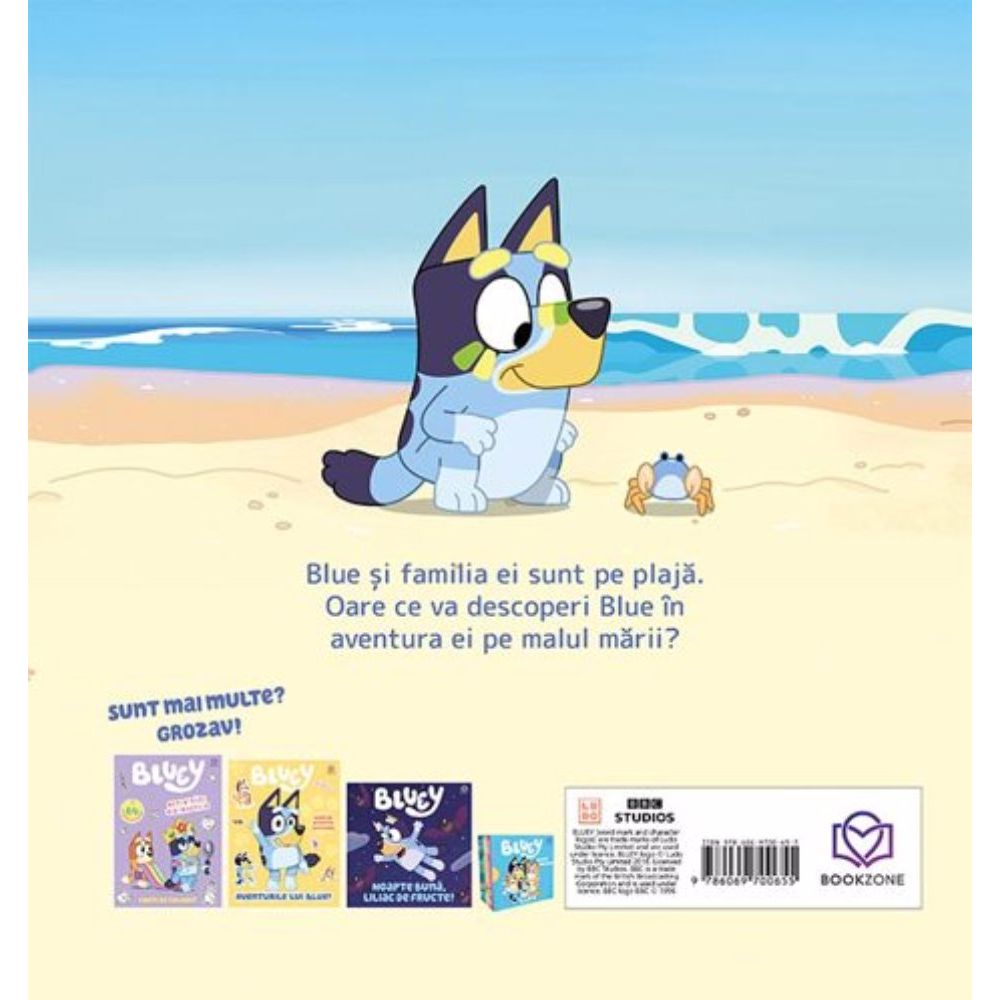 Bluey, La plaja