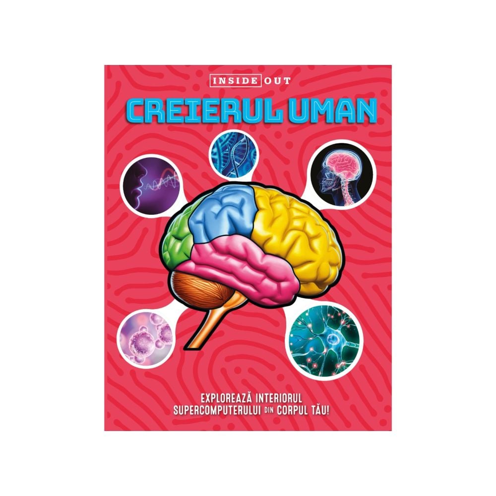 Inside out, Creierul uman 3D
