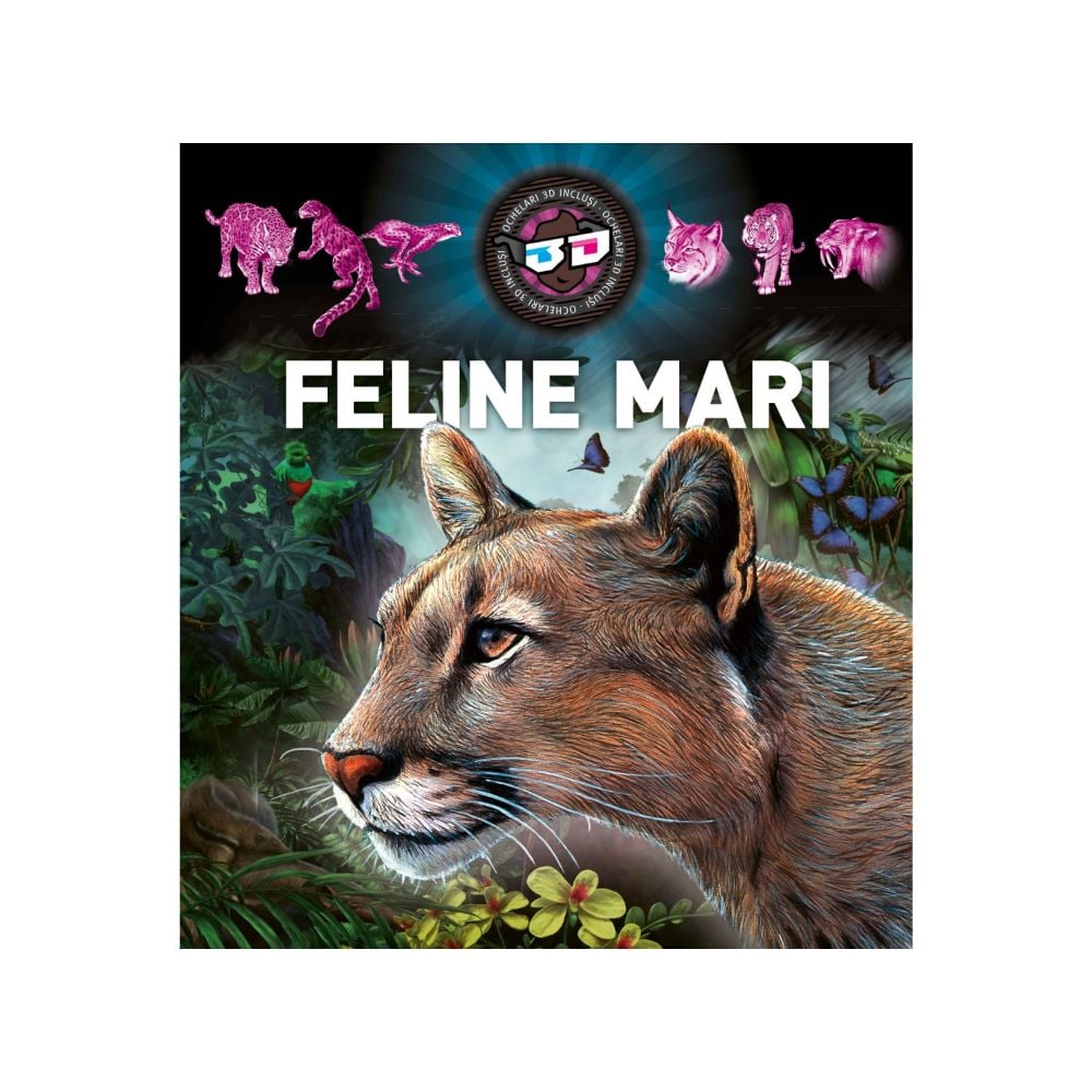 Feline mari 3D