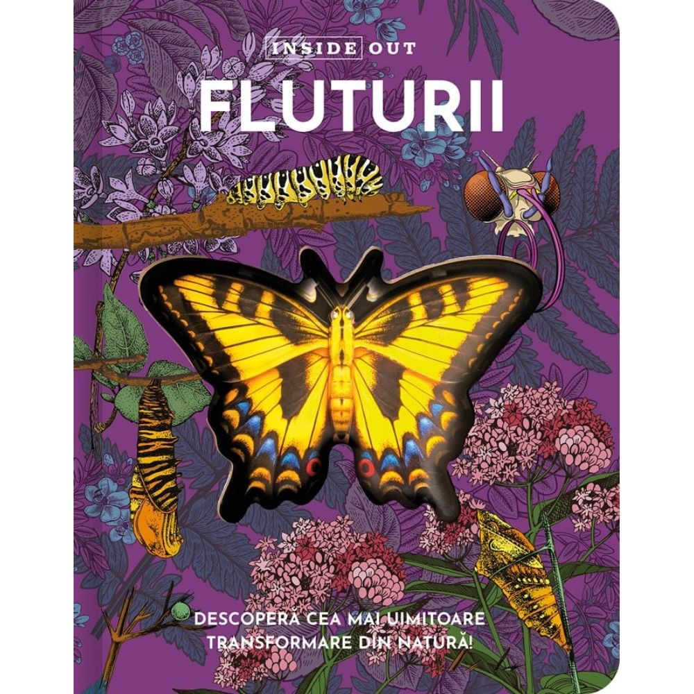 Fluturii, model 3D
