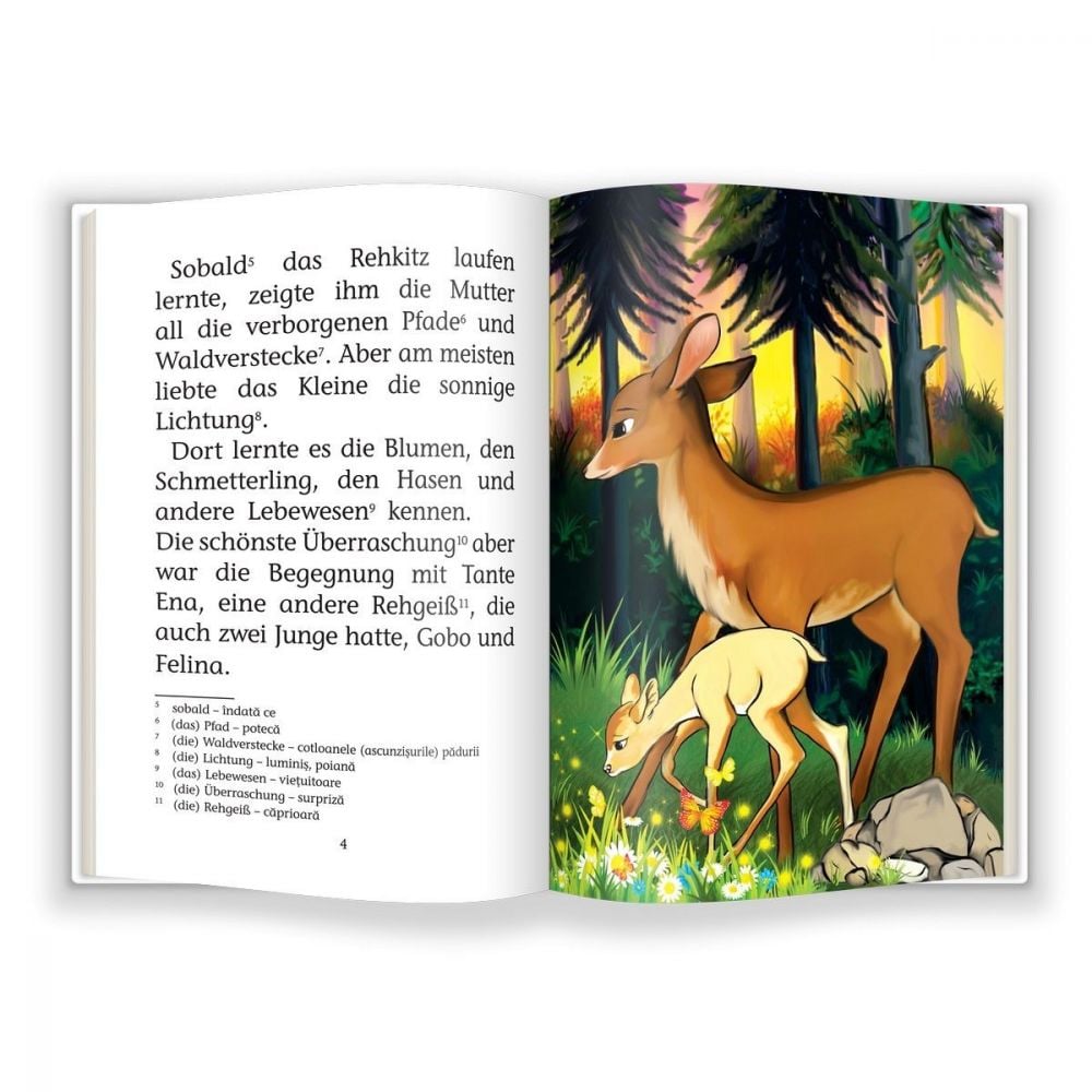 Bambi, Invat sa citesc in limba germana, Nivelul 3