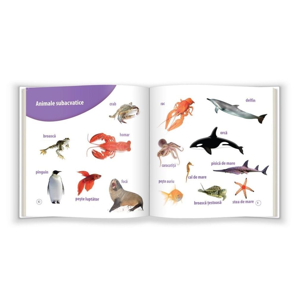 Invat animalele, Carti educative cu CD 2016