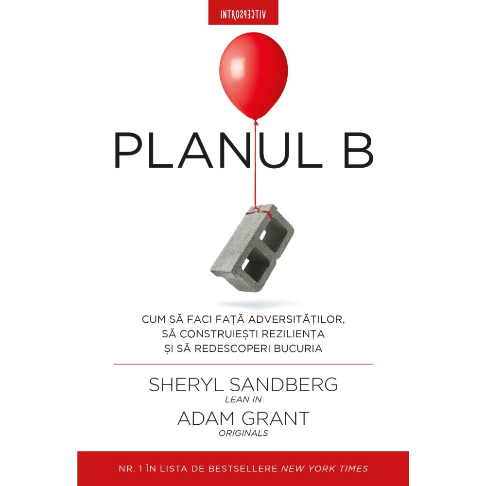 Planul B, Sheryl Sandberg, Adam Grant 