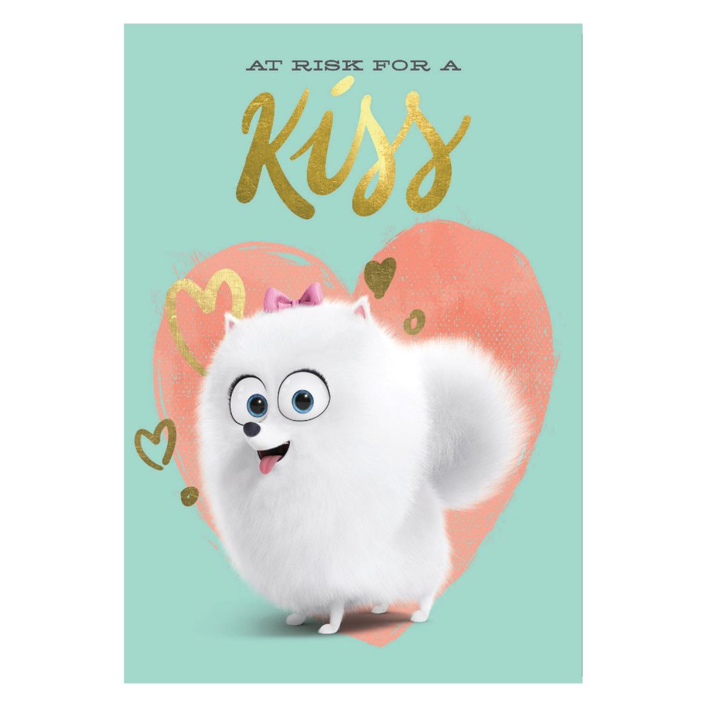 Bloc Notes cu spirala - The Secret Life of Pets 17x25 cm, 64 file