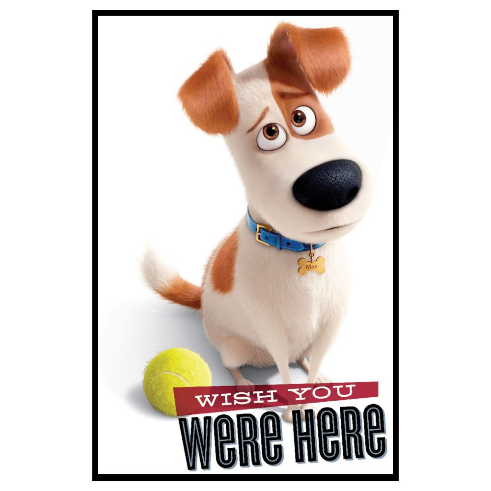 Bloc Notes - The Secret Life of Pets, 40 file