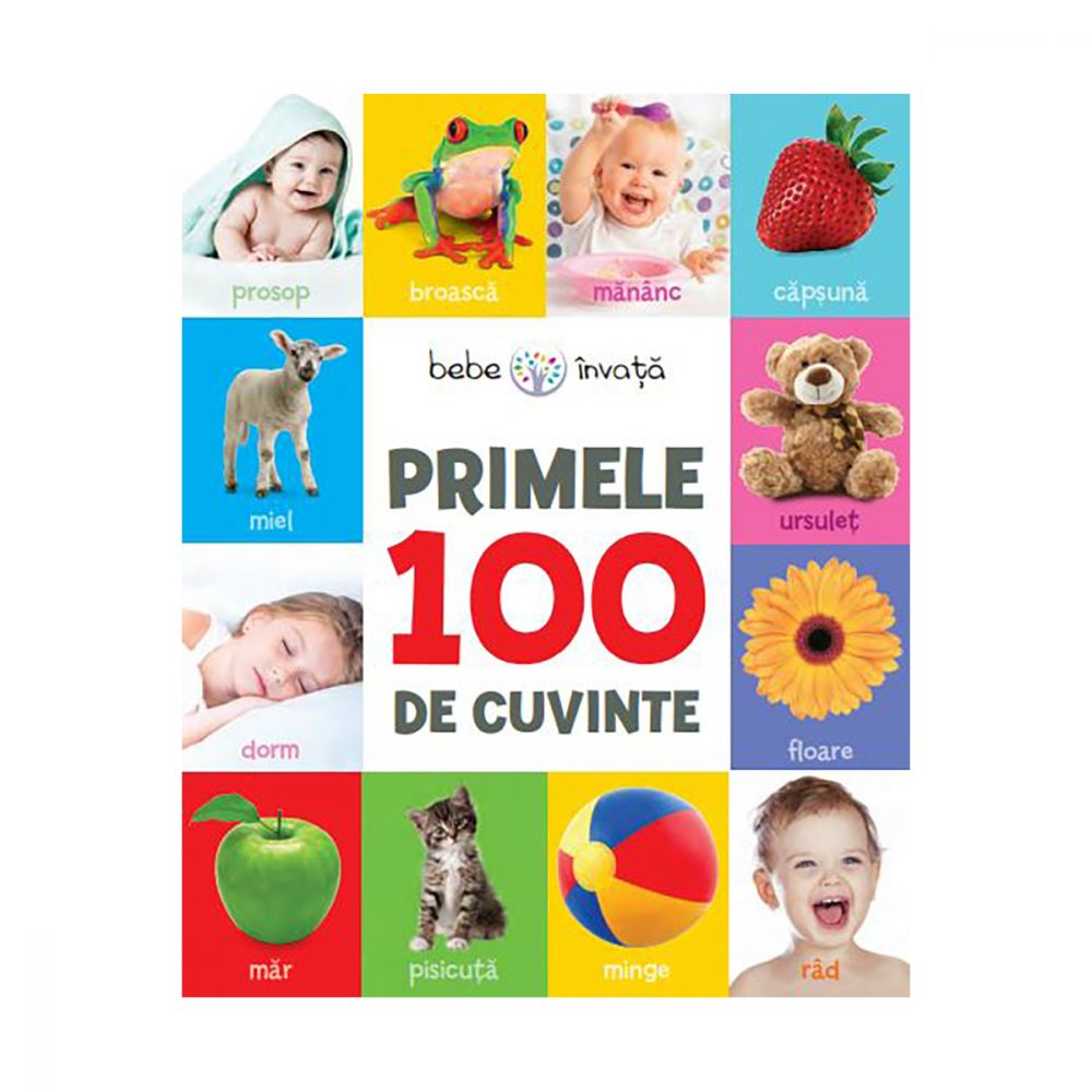Carte Editura Litera Primele 100 De Cuvinte Noriel