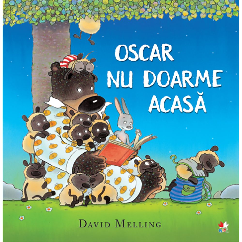 Carte Editura Litera, Oscar nu doarme acasa, David Melling